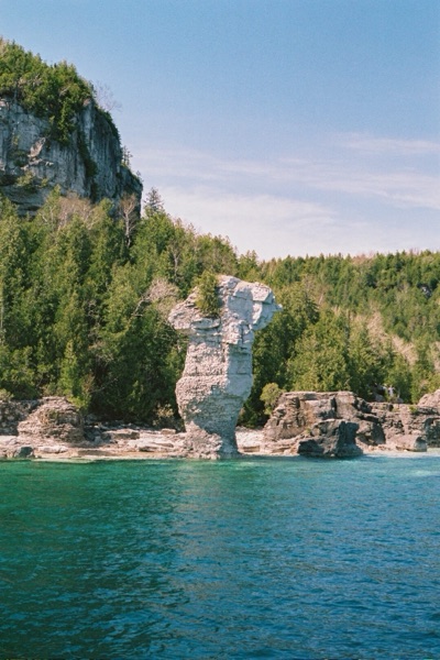 Film landscape